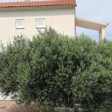 Apartmán Diana Primošten