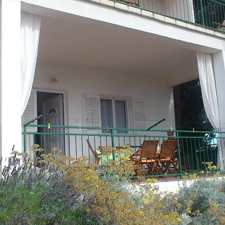 Diana 프리모스턴