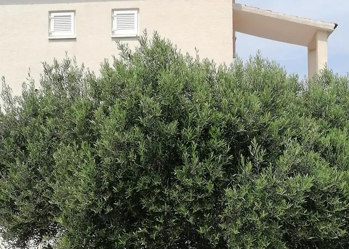 아파트 Diana 프리모스턴