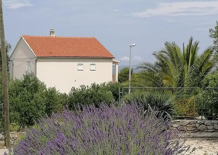 Diana * 프리모스턴