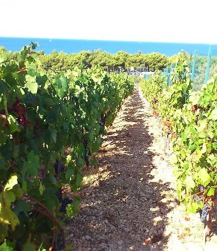 Appartement Diana Primošten